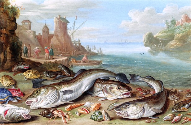 Cod jan van kessel