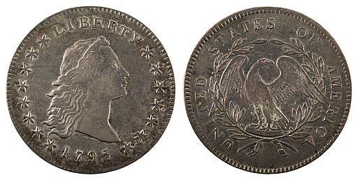 1795 Flowing Hair Dollar Coin