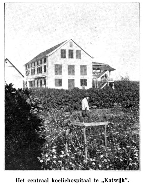 katwijk hospital suriname 1920s