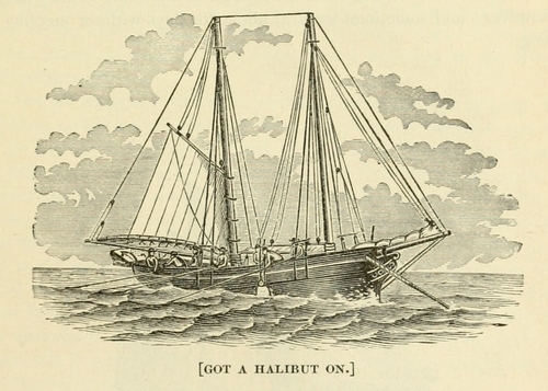 halibut on georges