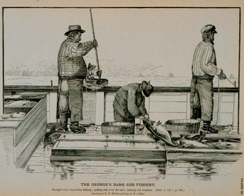 gloucester Georges bank goodes fisheries 1885