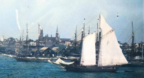 Gloucester mackerel schooners in harbor
