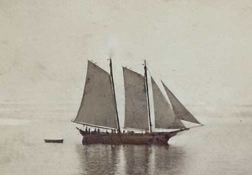 sharpshooter 1865 stereoview