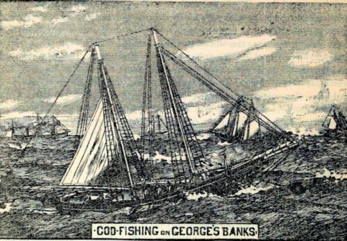 cod fishing on georges 1882