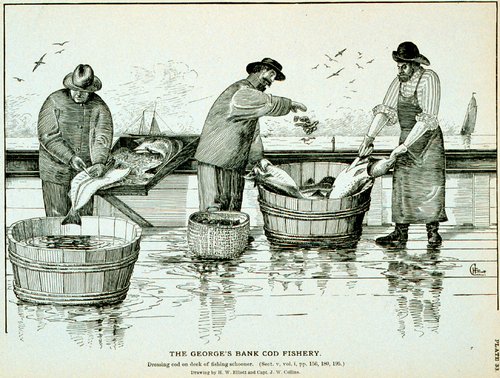gloucester Georges bank goodes fisheries 1885 dressing