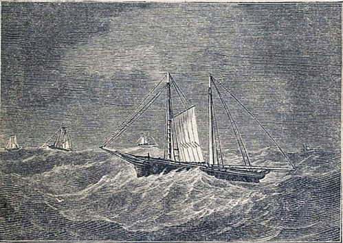 On Georges from Proctor Bros Gloucester